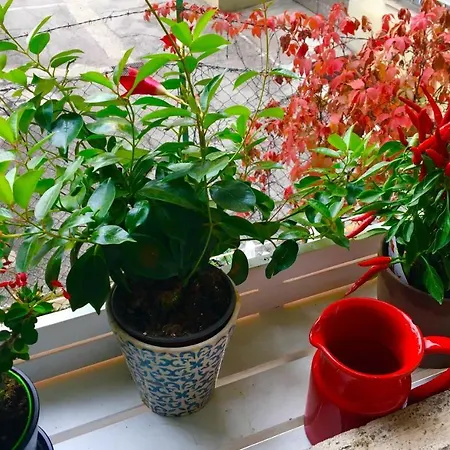 Apartament Home&coffee Mediolan